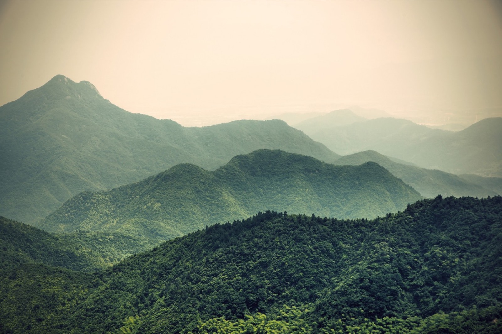 Sunlit hillscape around the plantation destination