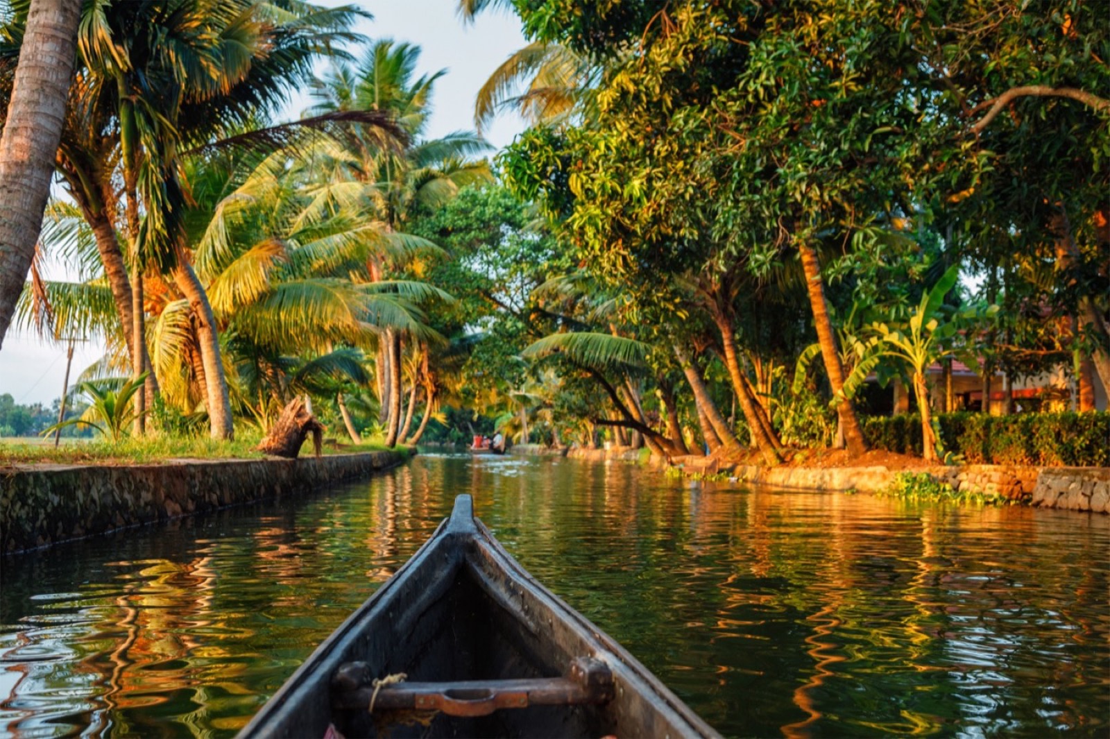 Traditional Kerala house setting with surrounding nature