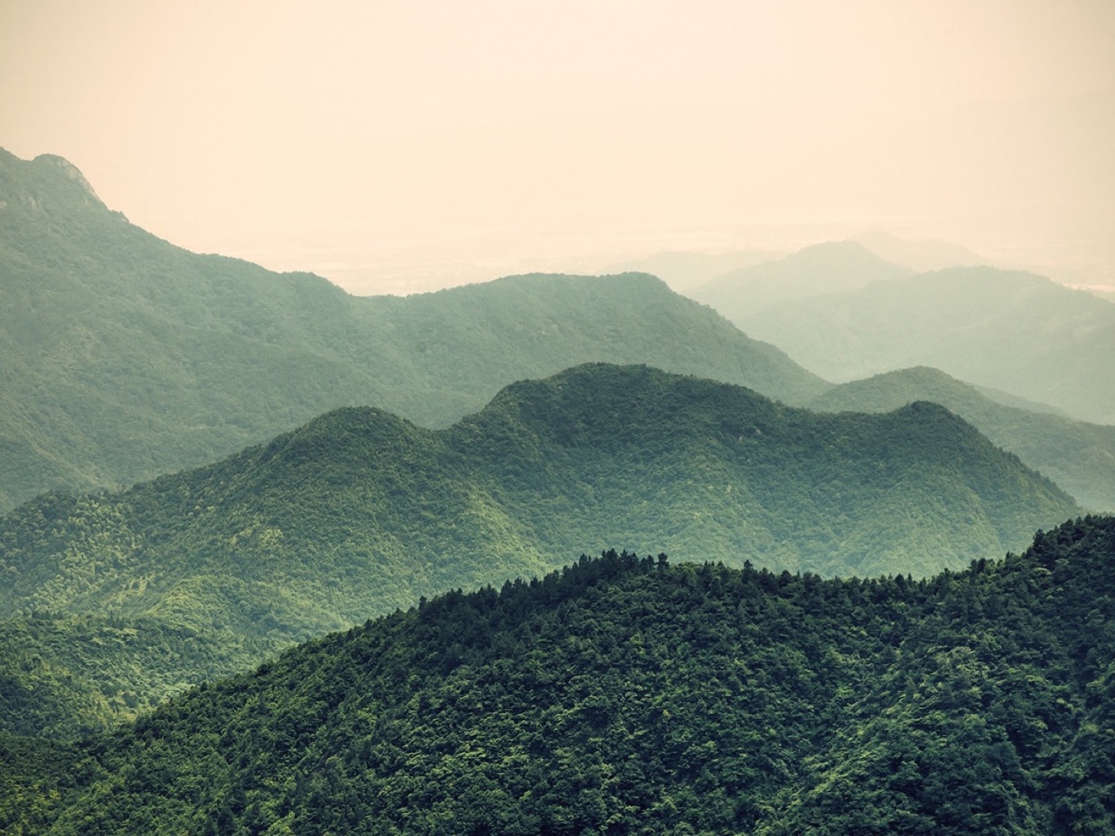 Cropped highland view highlighting mist and foliage