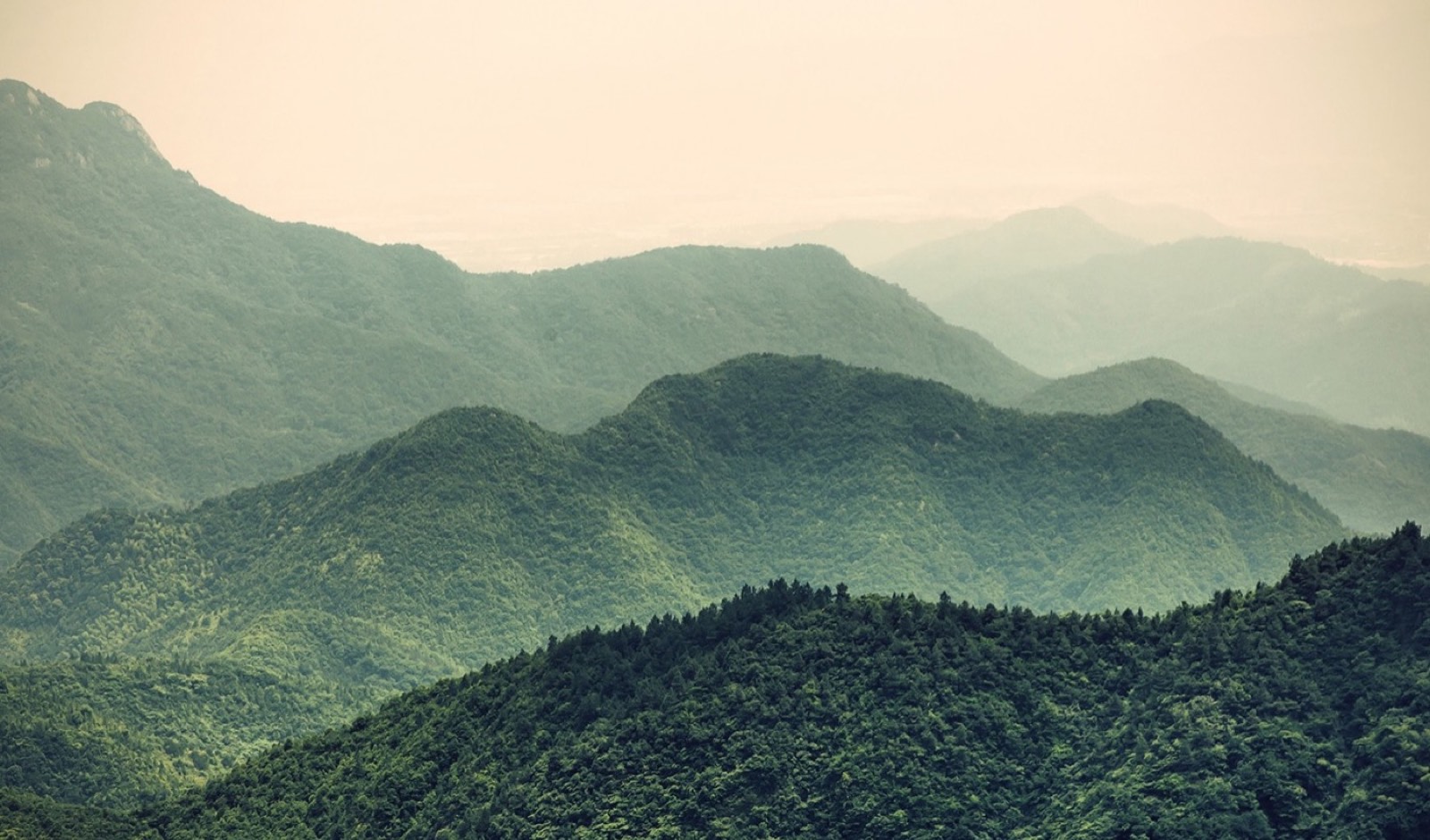 Wide-frame highland composition with layered mist